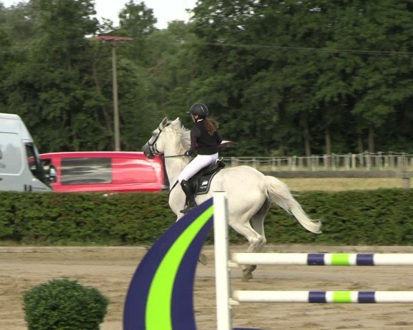 Reitturnier Neustadt/Dosse 2025