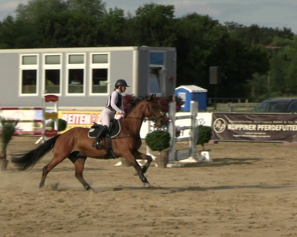Reitturnier Neustadt/Dosse 2025