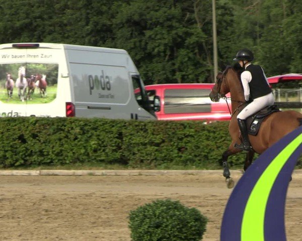 Reitturnier Neustadt/Dosse 2025