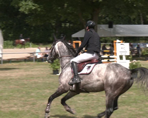 Reitturnier Wohlesbostel 2025