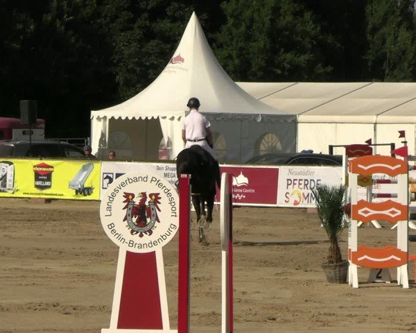 Reitturnier Neustadt/Dosse 2025