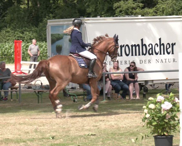 Reitturnier Wohlesbostel 2025