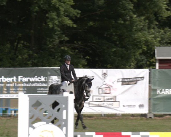 Reitturnier Wohlesbostel 2025