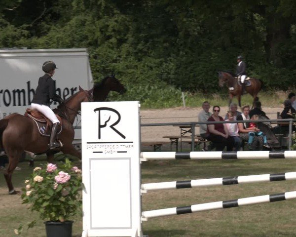Reitturnier Wohlesbostel 2025