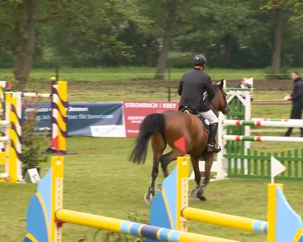 Bremen - Reitanlage Forkert 2014