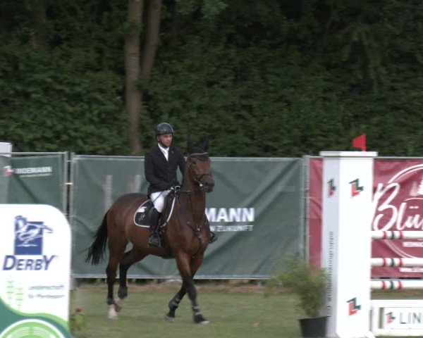 Reitturnier Wohlesbostel 2025