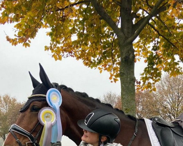 dressage horse Fr"ulein Fitzy (Westphalian, 2015, from Fashion Maker)