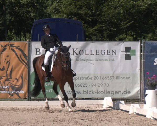 Reitturnier Heiligenwald 2025