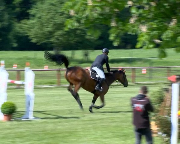 Bremen - Reitanlage Forkert 2014