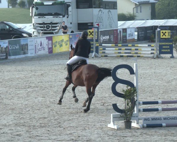 Springturnier Seewalchen 2025