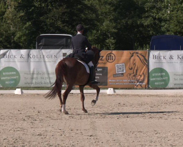 Reitturnier Heiligenwald 2025
