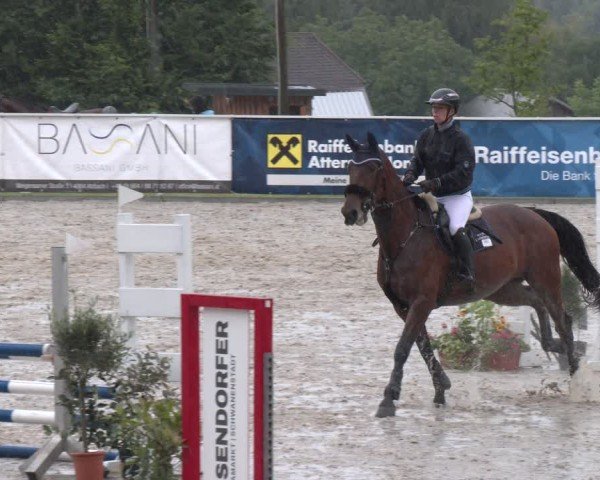 Springturnier Seewalchen 2025
