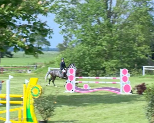 Bremen - Reitanlage Forkert 2014