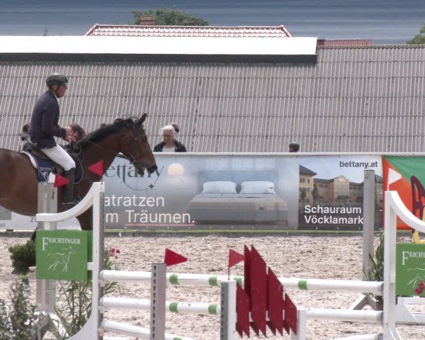 Springturnier Seewalchen 2025