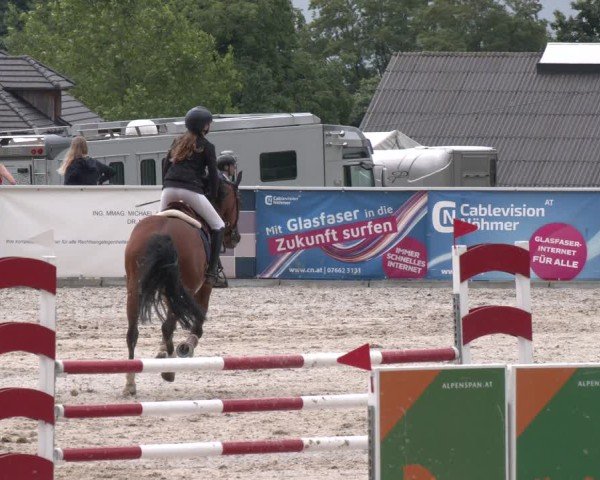 Springturnier Seewalchen 2025