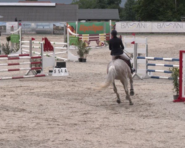 Springturnier Seewalchen 2025