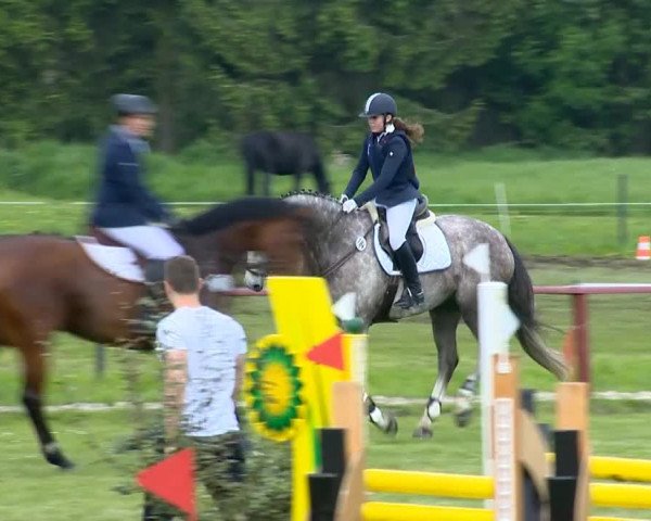 Bremen - Reitanlage Forkert 2014