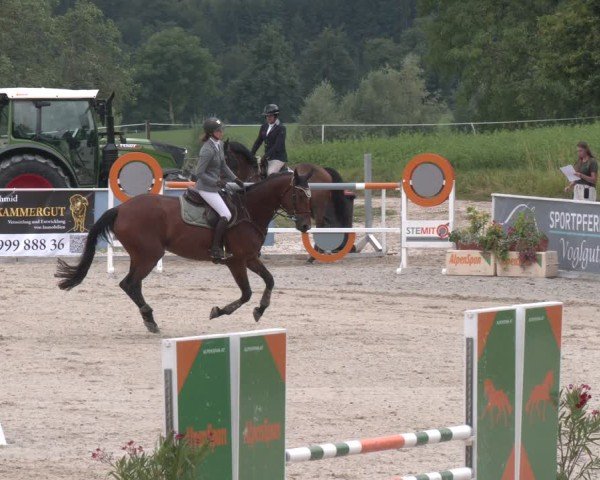 Springturnier Seewalchen 2025