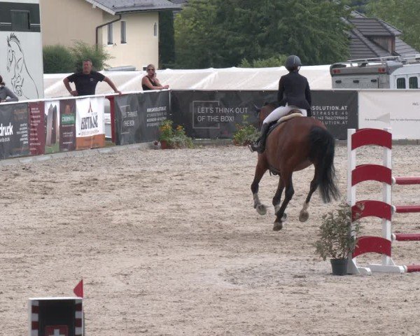 Springturnier Seewalchen 2025