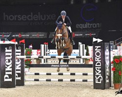 Springpferd Obora's Paris (Tschechisches Warmblut, 2013, von Luidam)