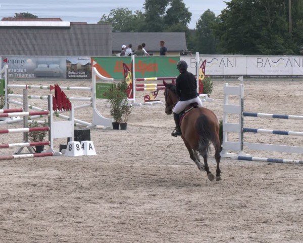 Springturnier Seewalchen 2025