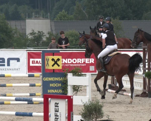 Springturnier Seewalchen 2025
