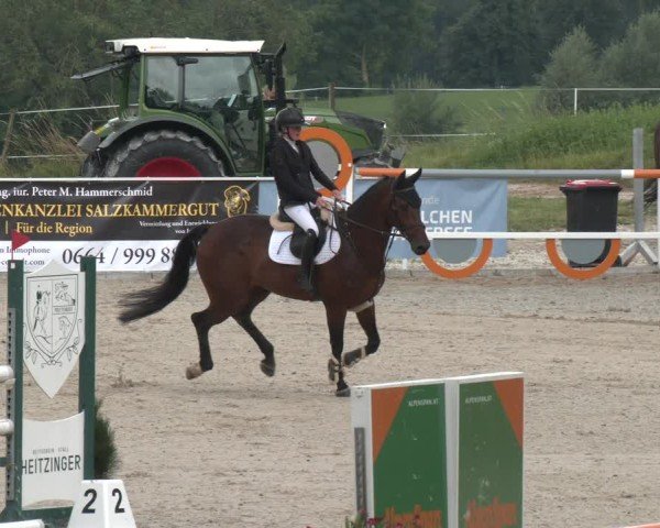 Springturnier Seewalchen 2025