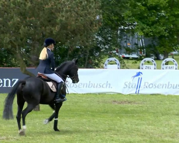 Bremen - Reitanlage Forkert 2014