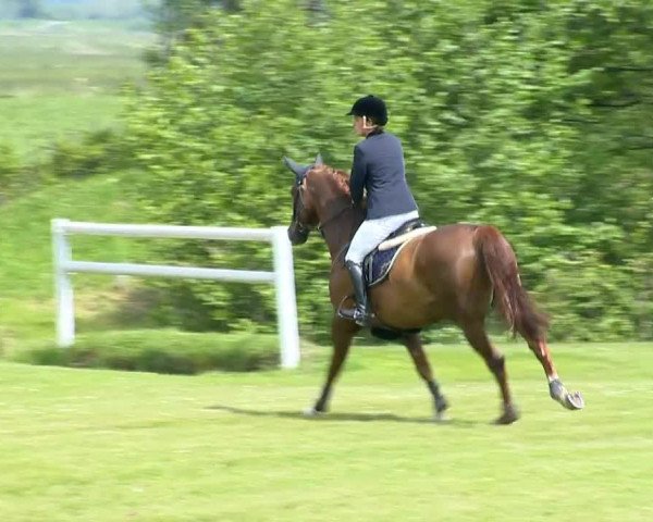 Bremen - Reitanlage Forkert 2014