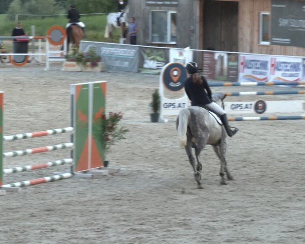 Springturnier Seewalchen 2025