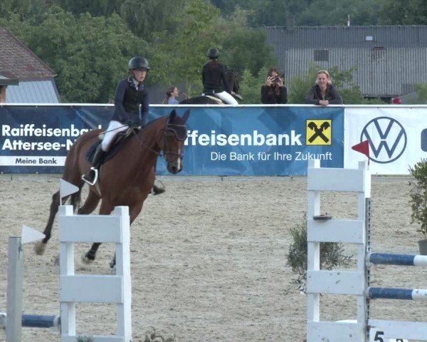Springturnier Seewalchen 2025