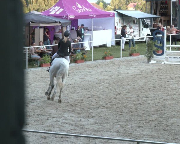 Springturnier Seewalchen 2025