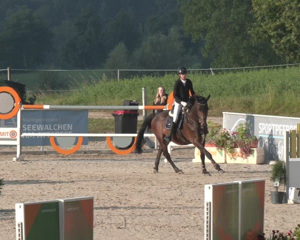 Springturnier Seewalchen 2025