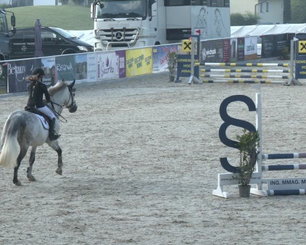 Springturnier Seewalchen 2025