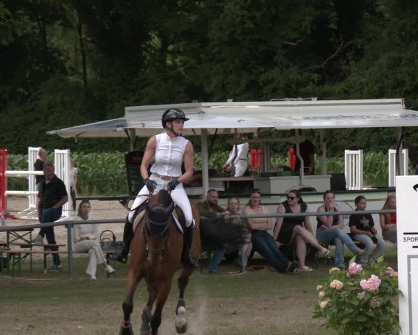 Reitturnier Wohlesbostel 2025