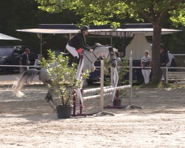 Reitturnier Heiligenwald 2025