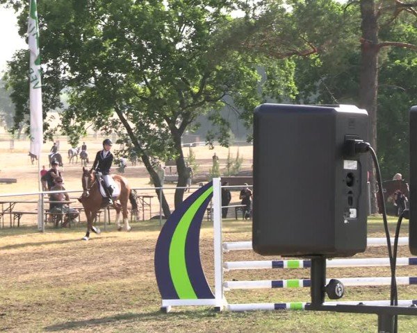 Reitturnier Niederwerbig 2025