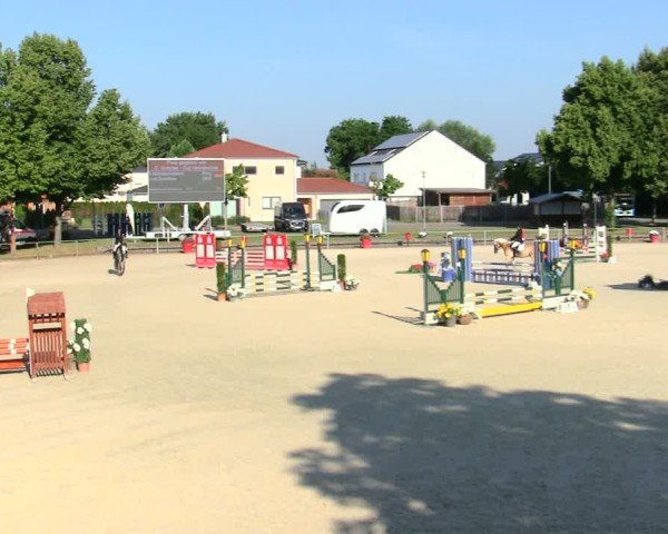 Reitturnier Ingolstadt-Hagau/Obb. 2025