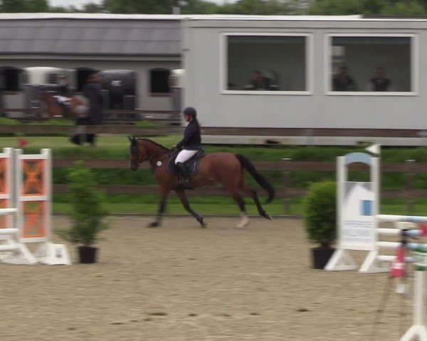 Reitturnier Niebüll 2025
