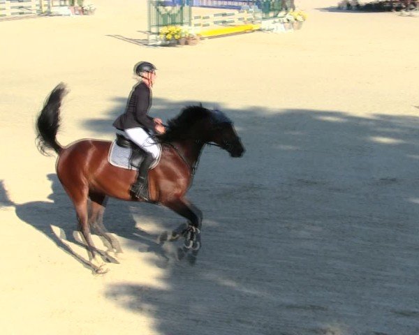Reitturnier Ingolstadt-Hagau/Obb. 2025
