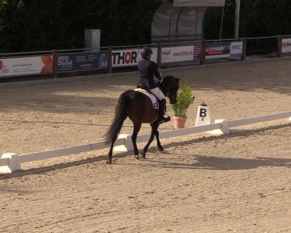 Reitturnier Uder, Reitanlage Kobold 2025
