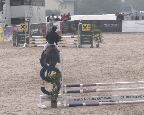 Springturnier Seewalchen 2025