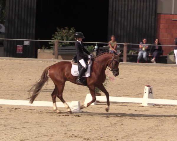 Reitturnier Uder, Reitanlage Kobold 2025