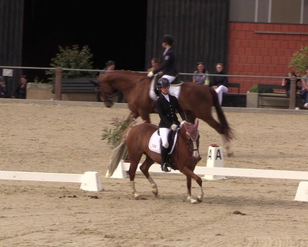Reitturnier Uder, Reitanlage Kobold 2025