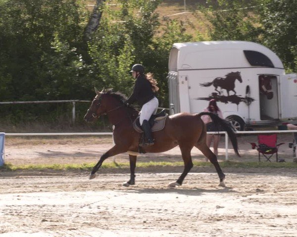 Reitturnier Heiligenwald 2025