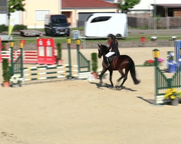 Reitturnier Ingolstadt-Hagau/Obb. 2025