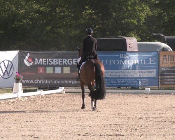 Reitturnier Heiligenwald 2025