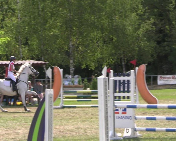 Reitturnier Niederwerbig 2025