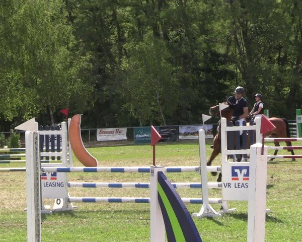 Reitturnier Niederwerbig 2025
