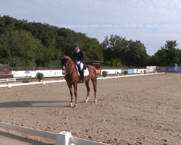 Reitturnier Heiligenwald 2025